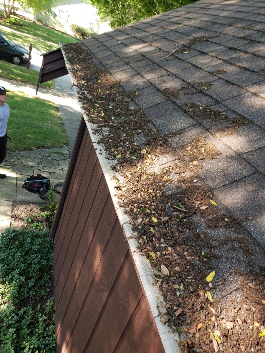 Clogged gutter with leaves